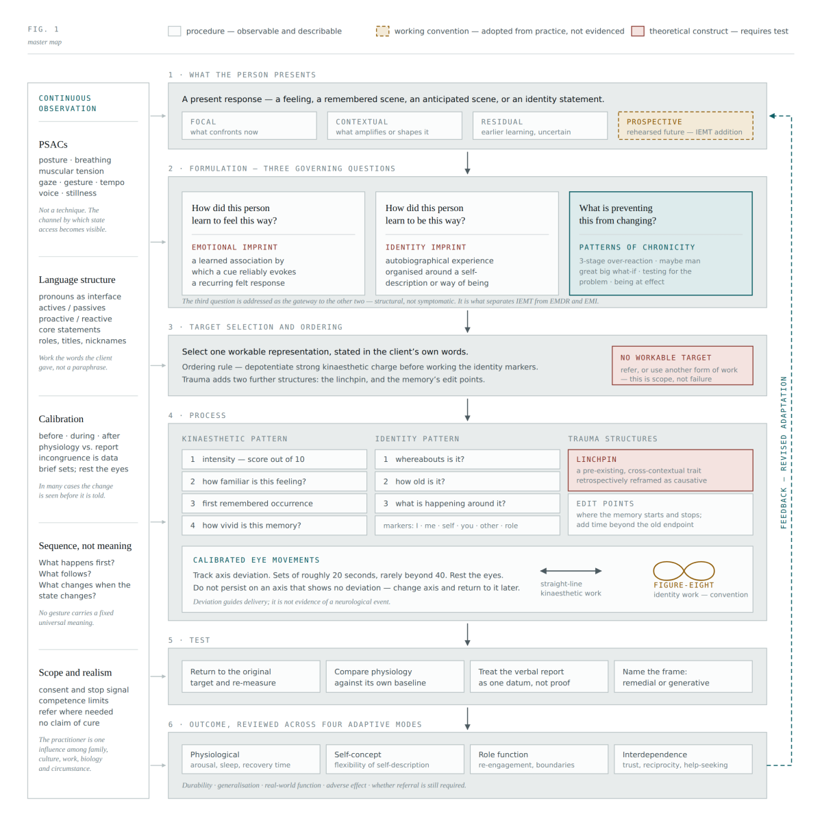The IEMT model: six stages, with continuous observation running alongside all of them The IEMT model: six stages, with continuous observation running alongside all of them